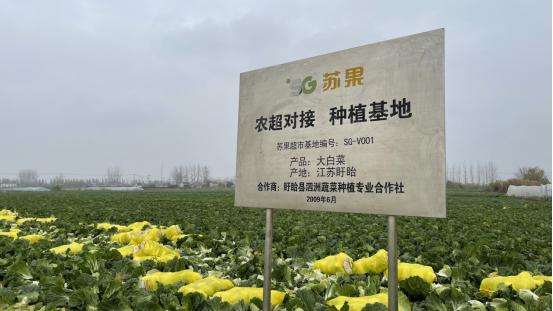 苏果“农超对接”跑好助农解困“接力赛”—— “田头”到“筷头”，乡村振兴有奔头