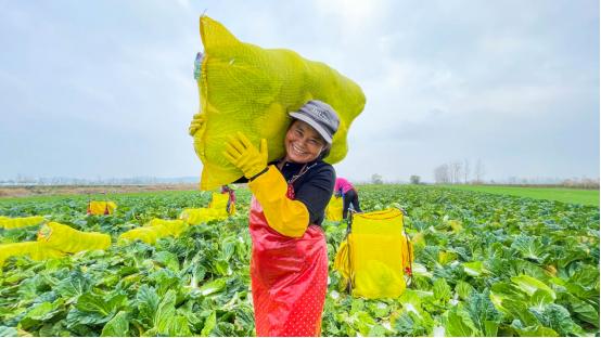 苏果“农超对接”跑好助农解困“接力赛”—— “田头”到“筷头”，乡村振兴有奔头