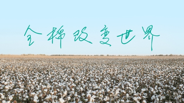 对话全棉时代：亏2亿到年销40亿，这个品牌如何用一朵棉花改变世界？