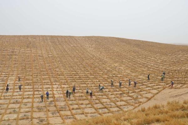  内蒙古翁牛特旗：走出沙区寻求致富路