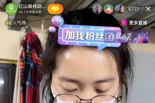 南京红山动物园在抖音公益直播，16万人次参与筹款
