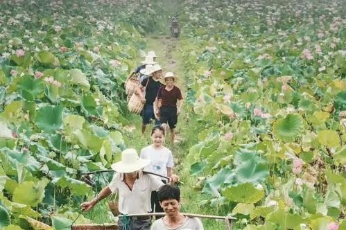 万家携手“品牌消费•杜绝假劣”平台，合力助推新时代乡村振兴