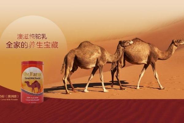 澳滋骆驼奶粉，全家人的营养新选择