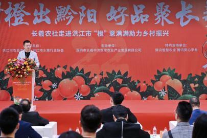 腾讯安心平台落地洪江，数字手段助力黔阳冰糖橙品牌化