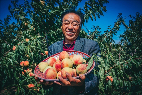 中国绿化基金会 “幸福家园”：聚焦乡村振兴 助力区域发展