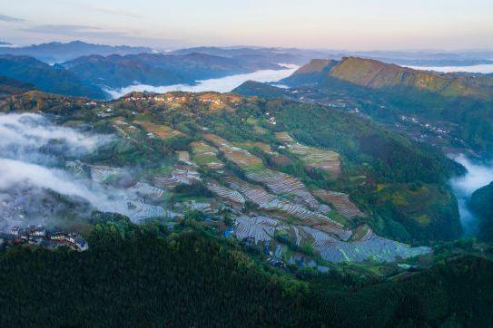 中国浓香白酒核心产区走出“大国浓香 中国酒王”五粮液