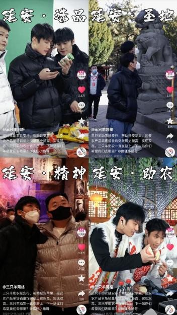 “疯狂小杨哥”双十二延安助农，超55万件农产好物抢售一空