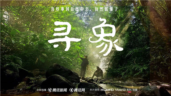  去雨林深处，听大象长吟，自然纪录片《寻象》正式上线！