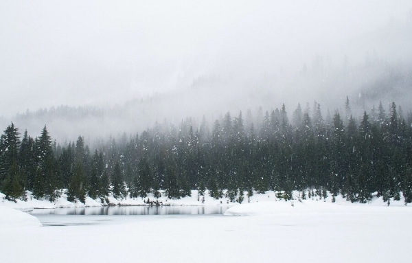 墨迹天气上线“降水类型”新功能，贴心提示出行雨雪状态