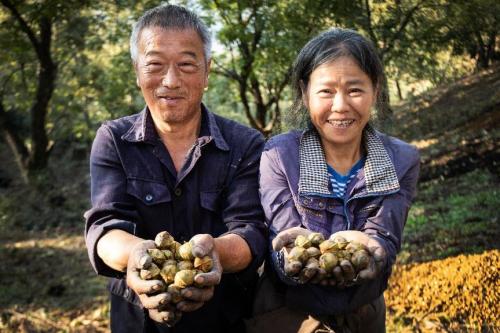 回归最本真“年味” 良品铺子寻味16年以品质引领年货热销