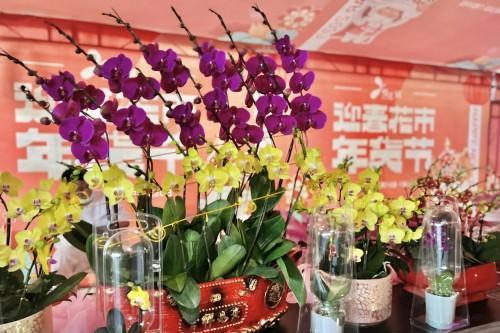 行花街、过大年，悦汇城邀您“得闲开新”！