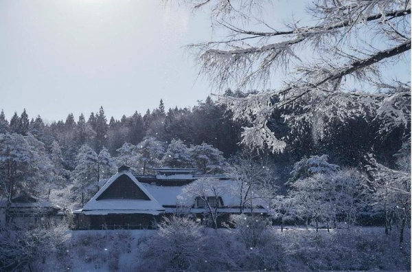  软萌萌的动物主题客房，治愈力满分！开启北海道的冬日旅行