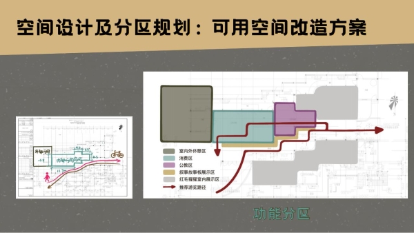 2022自然创变者成功完结，12个青年影响力项目落地生长