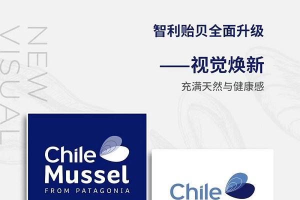来自世界纯净水域之一，智利贻贝将天然生活带给中国！