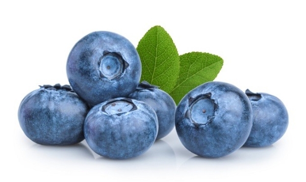  “蓝”得一见，“莓”好常伴，智利蓝莓上市了！