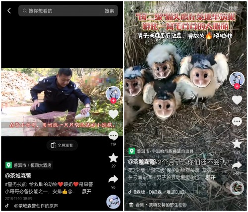 云南一警局在抖音为百万网友鉴定千种动物走红，短视频成自然科普重要渠道