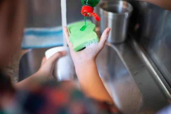西门子家电与亮碟携手中华环保联合会 探寻洗碗节水潜力，科技赋能“净”美未来