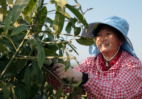 在年日照2836小时的「阳光城」，读懂薇诺娜的价值底色