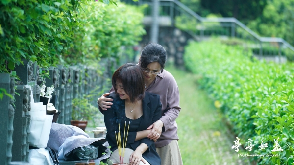  《亭亭如盖》定档4月15日 遗腹子去留问题引发家庭矛盾激化