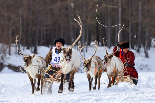 第一届国际传统驯鹿放牧锦标赛在萨哈共和国举行