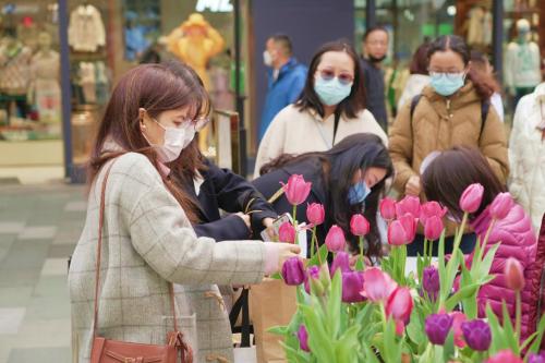 「送你一座花园」，大宁国际春日限定浪漫！