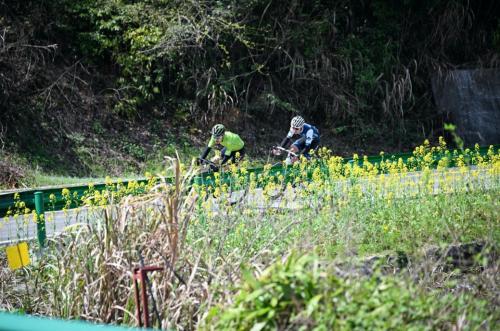  顺利完赛！2023第十八届中国黄山（黟县）国际自行车公开赛成功举办！