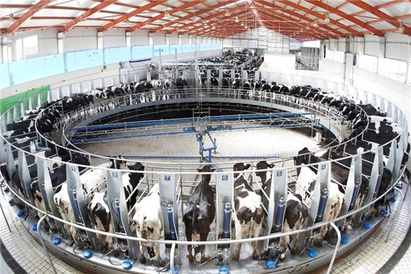  蒙牛乳业发布2022年全年业绩 营收净利双增