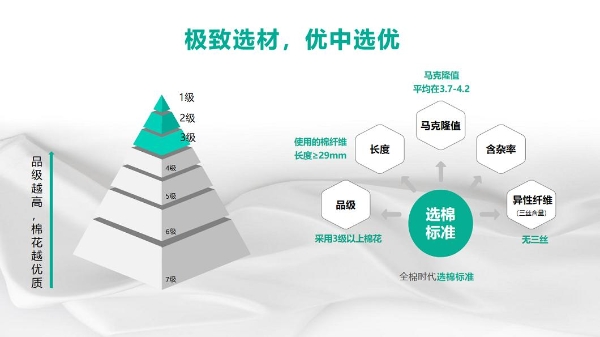 全棉时代：一朵棉花的理想主义