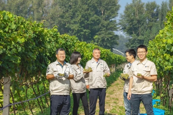  葡萄酒哪个品牌比较好？这个品牌的总经理成为中国最年轻酿酒大师