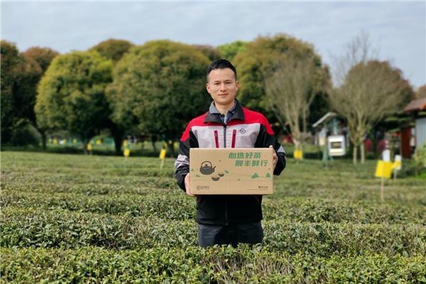  顺丰升级茶叶物流方案，黄山春茶新鲜速达消费者