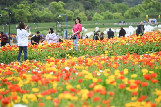 无锡拈花湾打造无人花店 促进“赏花经济”发展