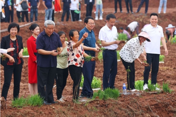 好酒种出来！五粮液探寻“和美种植”的时代智慧