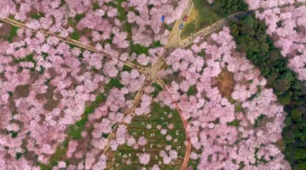 《如歌岁月,花样年华》春季文旅宣传片正式发布!