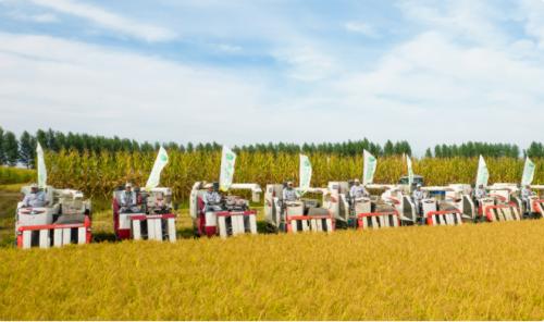 扎根黑土地助推农业发展，十月稻田如何能成为产业典范?