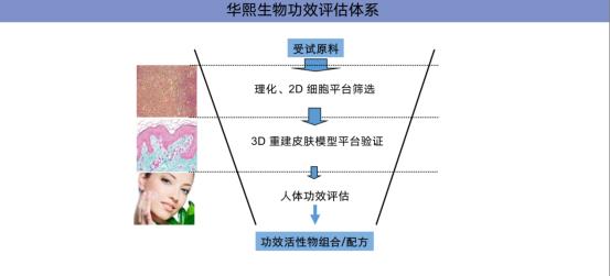华熙生物受邀亮相中国化妆品国际合作论坛 共话化妆品检测技术应用与发展 