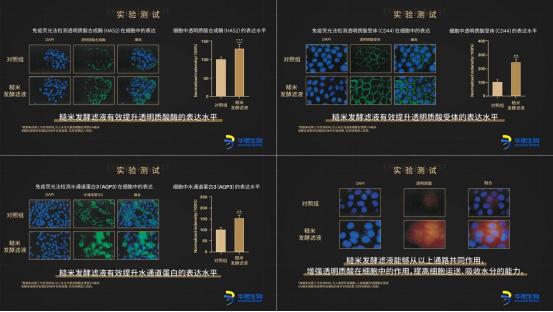 Bloomage Biotech was invited to appear at the China Cosmetics International Cooperation Forum to discuss the application and development of cosmetic testing technology 