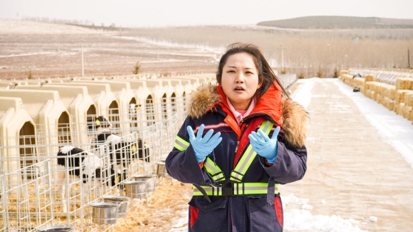 《求职高手女性职场季》现代畜牧之旅