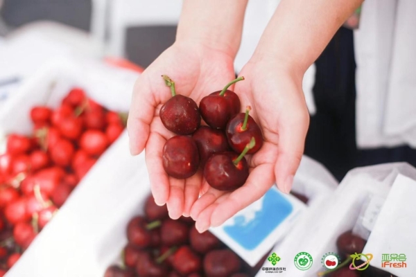  第二届中国樱桃品牌大会暨全国樱桃产销对接大会圆满成功！