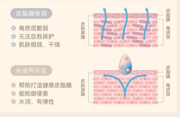 茱莉蔻护肤策略新升级 水油同补内外兼修 开启肌肤二八定律