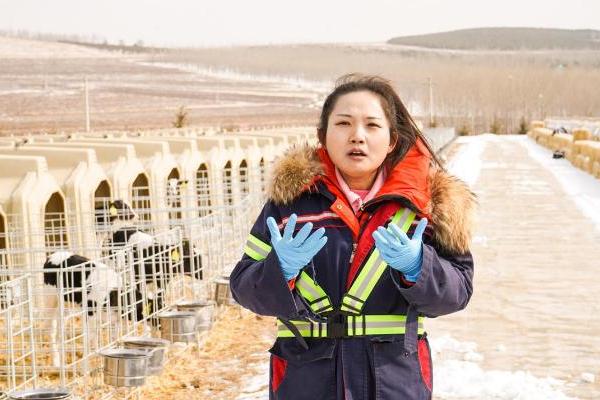 《求职高手女性职场季》现代畜牧之旅