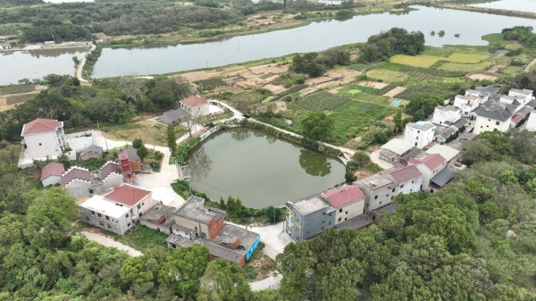 雁回人圆——“鄱阳湖淡水健康和湿地保护项目”侧记