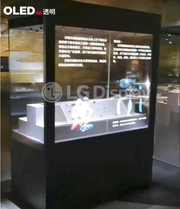 博物馆迎来“暑期热”，透明OLED给你不一样的体验