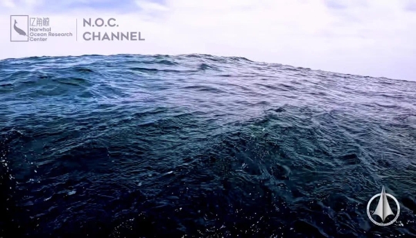  世界海洋日，与亿角鲸一起共度BLUE UP蔚蓝力量「我与海洋的12小时」