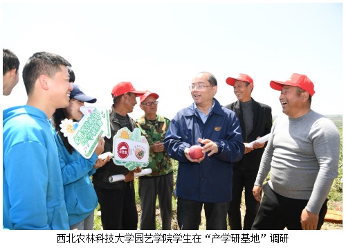  引人才促发展必胜客乡村振兴项目持续升级