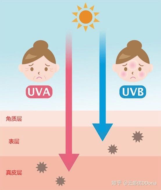  韵斐诗科普之防晒篇—防晒霜的防晒指数越高越好吗？ 