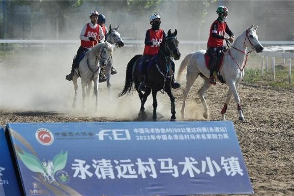  中国马术协会耐力达标赛在永清开赛 国际马联精英骑手贾惠林任赛事总指挥