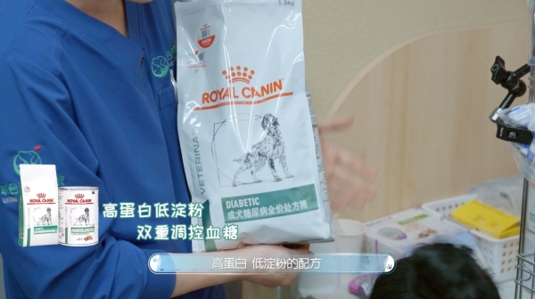 皇家宠物食品携手宠物医疗综艺《宠物医生2》治愈回归