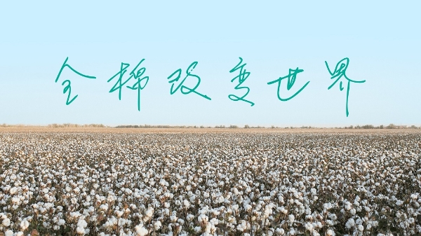 一朵棉花的故事：如何从零开始构建和深耕用户价值？ 