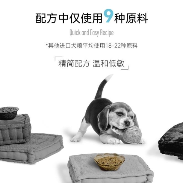 BIXBI宠粮品牌在中国市场崭露头角，为宠物带来纯净健康的天然营养选择