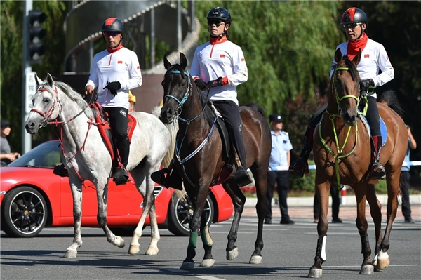  中国马术耐力赛国家队队员助力包头马术盛装城市巡游活动 
